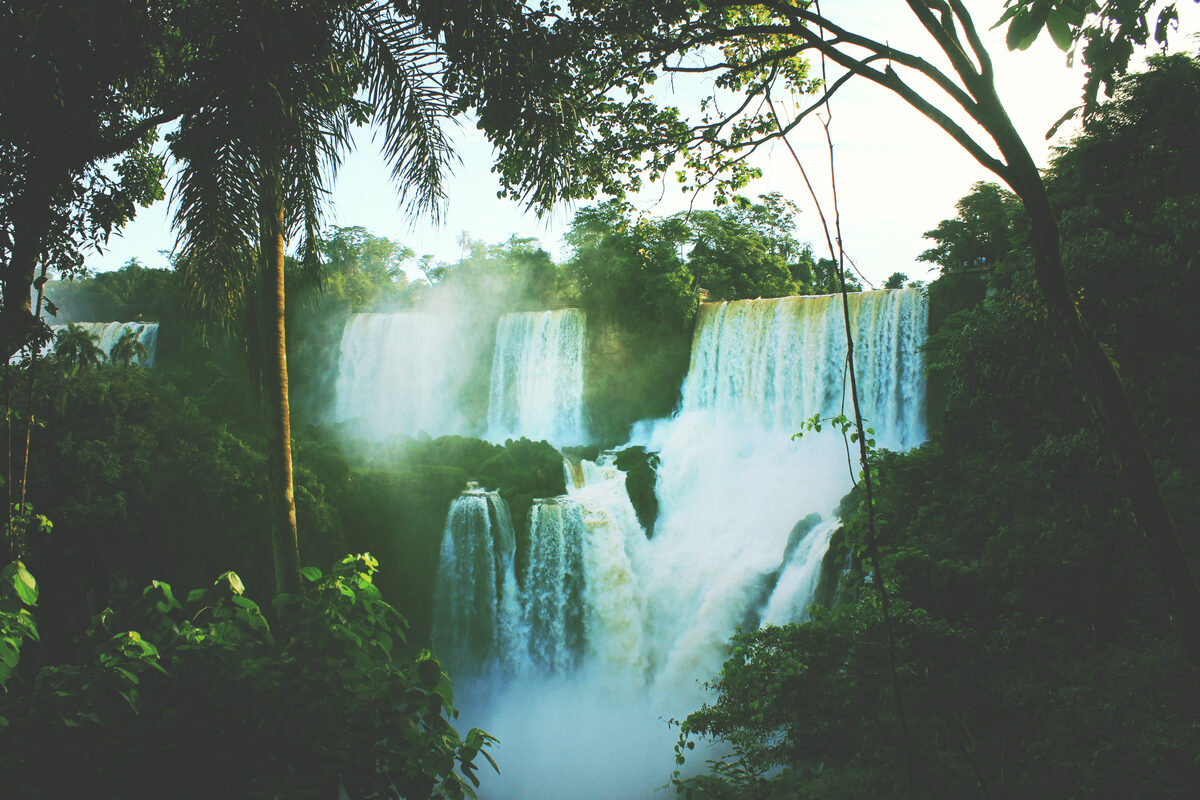 Projeto de recuperação ambiental - Instituto Filhos da Amazônia